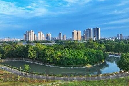 冰岛足球比赛比分-冰岛足球，小国奇迹背后的比分故事与足球哲学