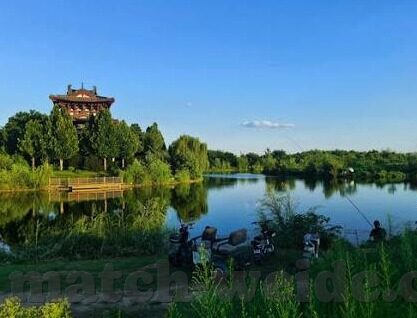 闪耀暖暖游戏下载九游-闪耀暖暖，九游平台下的梦幻之旅