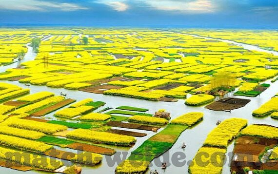 新浪足球彩票比分-新浪足球彩票比分，一场数据与激情的碰撞盛宴
