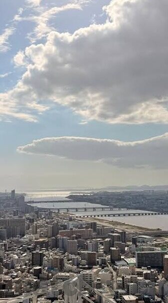 毅腾足球比分直播-毅腾足球，比分直播背后的热血与坚守，探寻绿茵场上的不屈灵魂