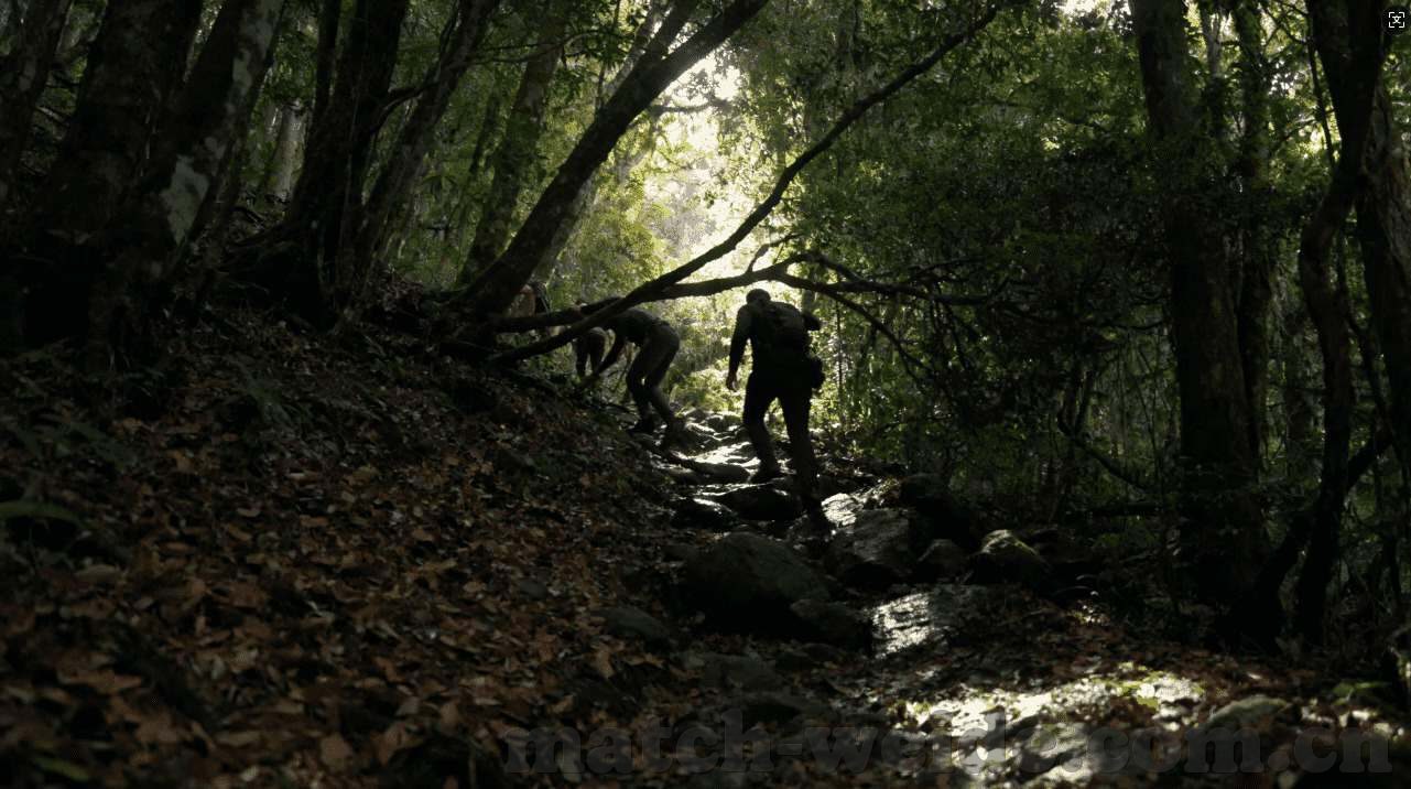 永利控股集团-永利控股集团，稳健布局下的多元化探索